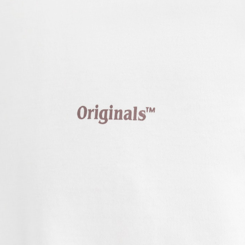 19149618-49473447.png