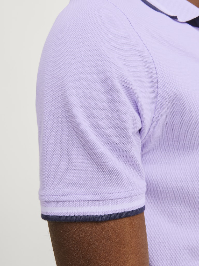 76485448-77823139.jpg