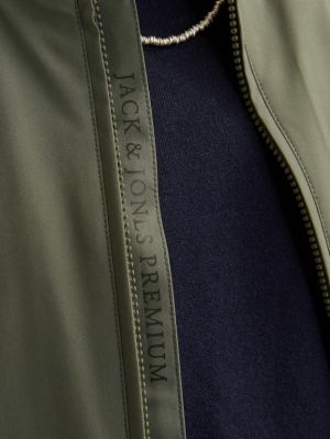 01108745-03033970.jpg
