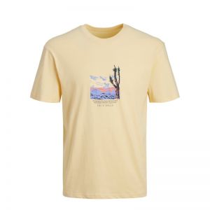 JORLUCCA GRAPHIC TEE SS CREW NECK
