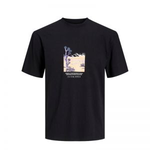 JORLUCCA GRAPHIC TEE SS CREW NECK