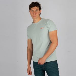 LATTE TS M m+