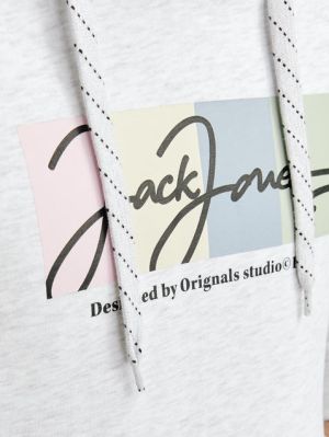 JORPORTLAND BLOCK SWEAT HOOD LN