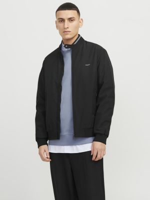 54987573-04641184.jpg