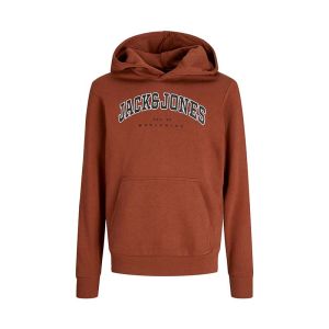 JJECALEB VARSITY SWEAT HOOD NOOS JNR