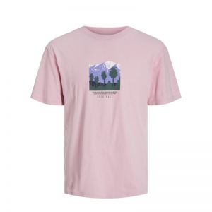 JORLUCCA GRAPHIC TEE SS CREW NECK