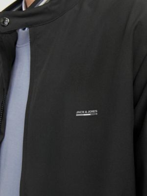66042400-32366942.jpg