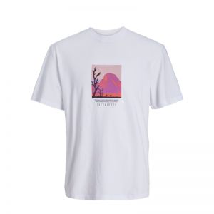 JORLUCCA GRAPHIC TEE SS CREW NECK